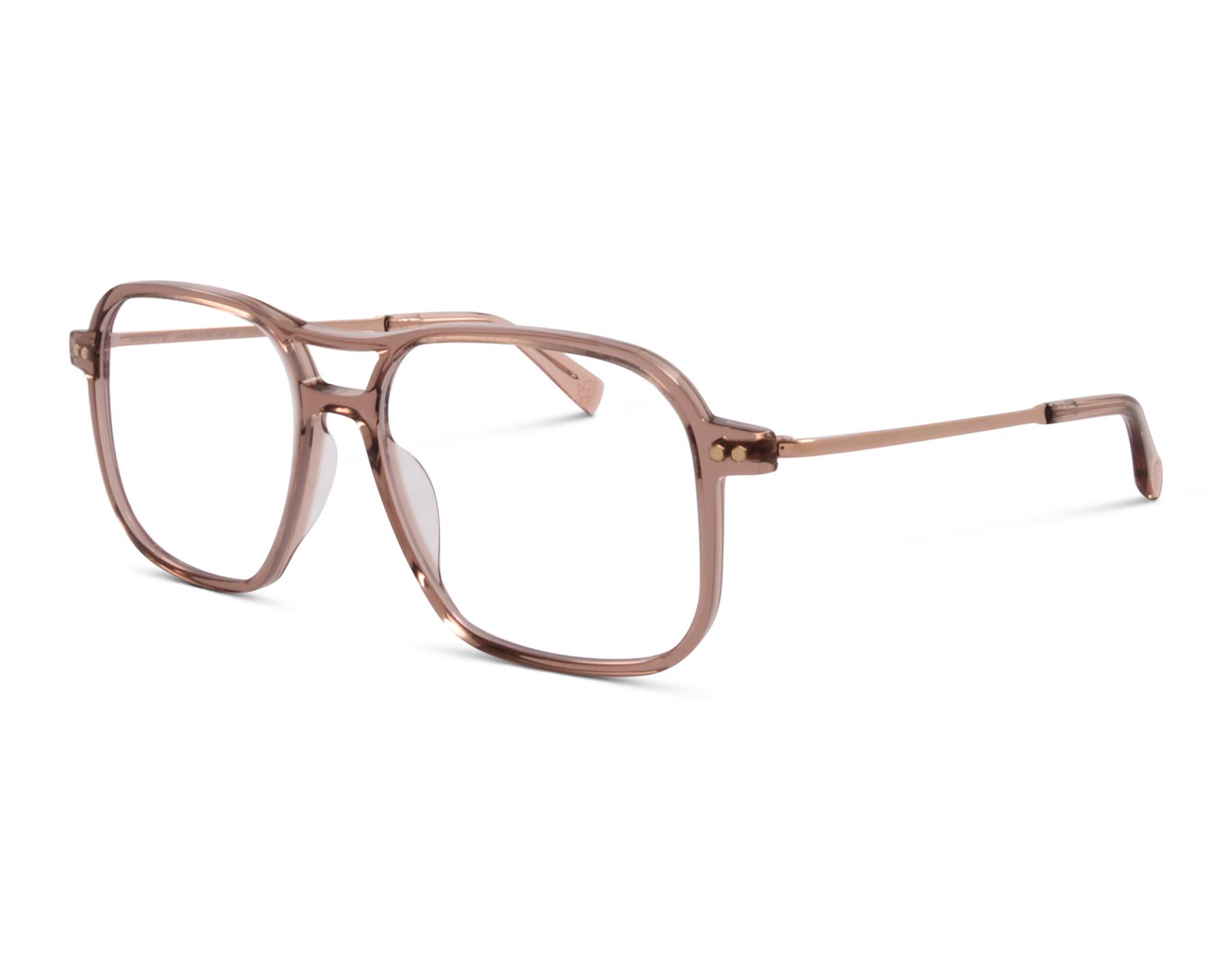 Coblens Zierpflanze 60147-589 54 Braun trasparent