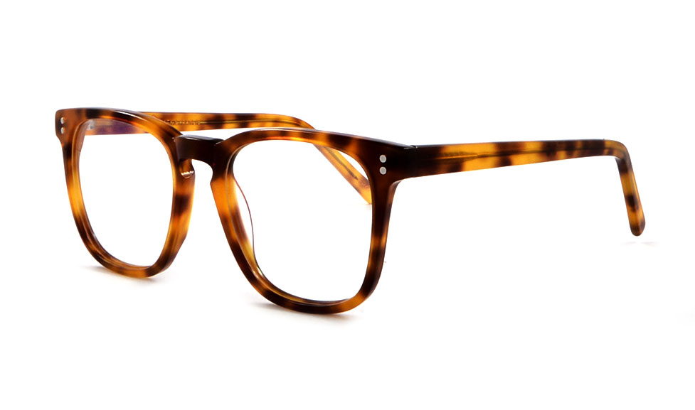 Jack & Francis FR47 Hazel Tortoise 50 Braun