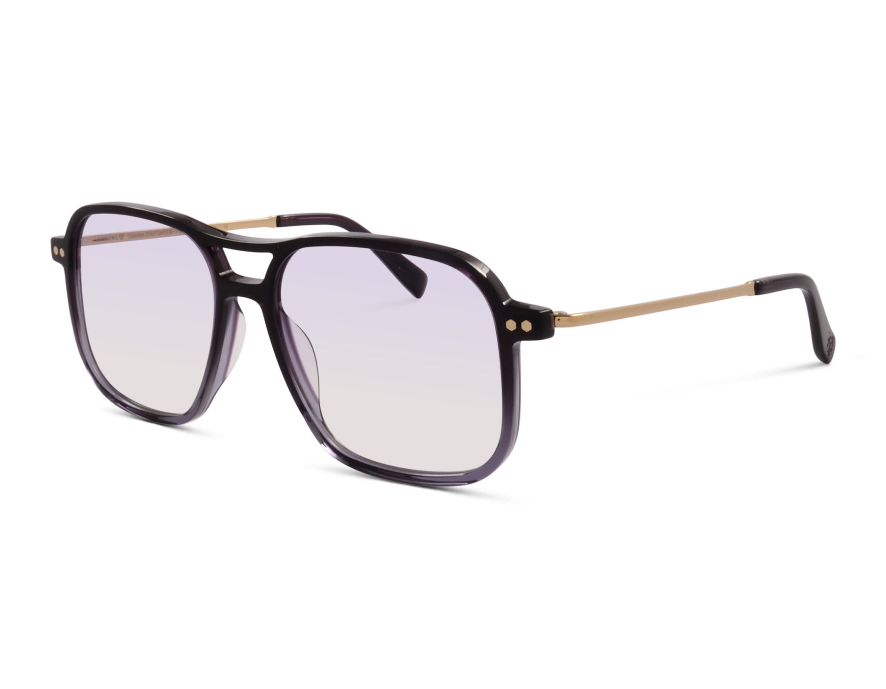 Coblens Zierpflanze 60147-588 54 Aubergine